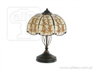 Afryka 17148
