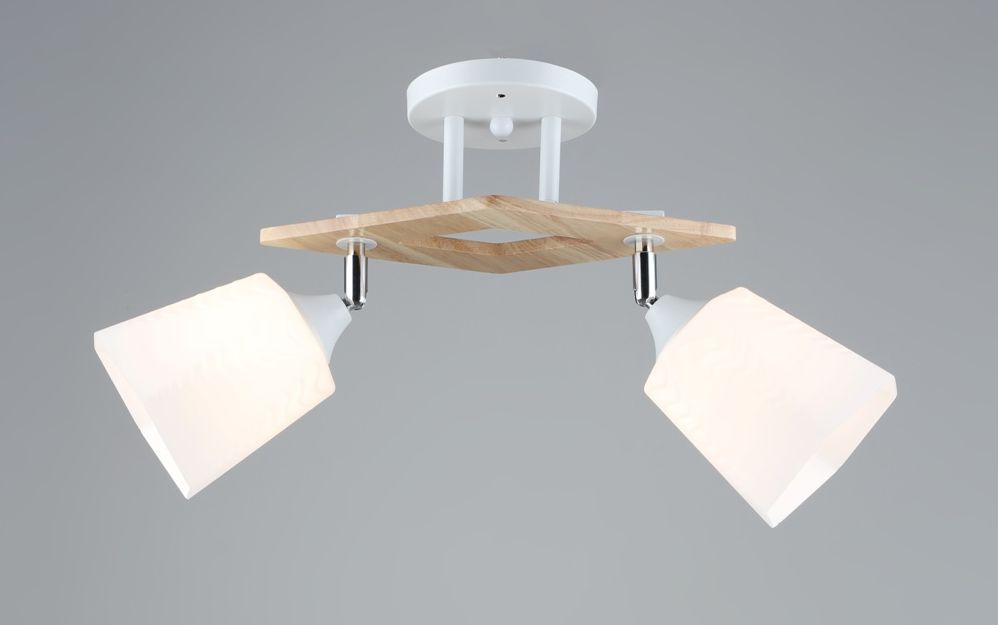 Люстра Декоративна SR-N5095/2 WT+WOOD